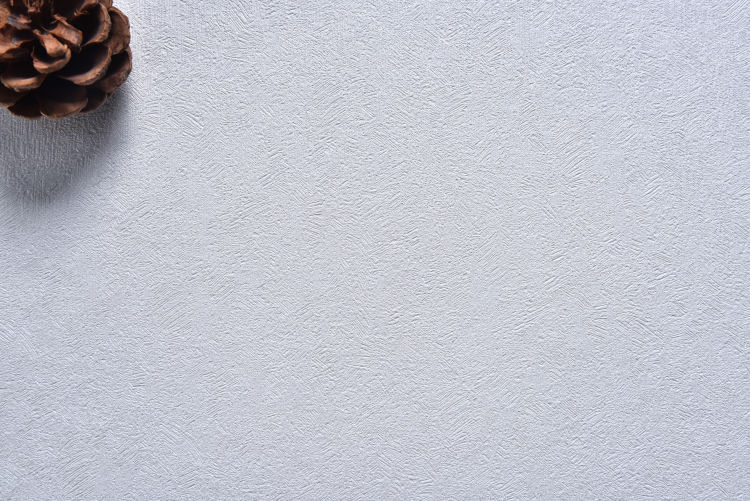 8c82762e50424a8481e0438679948d54.jpg